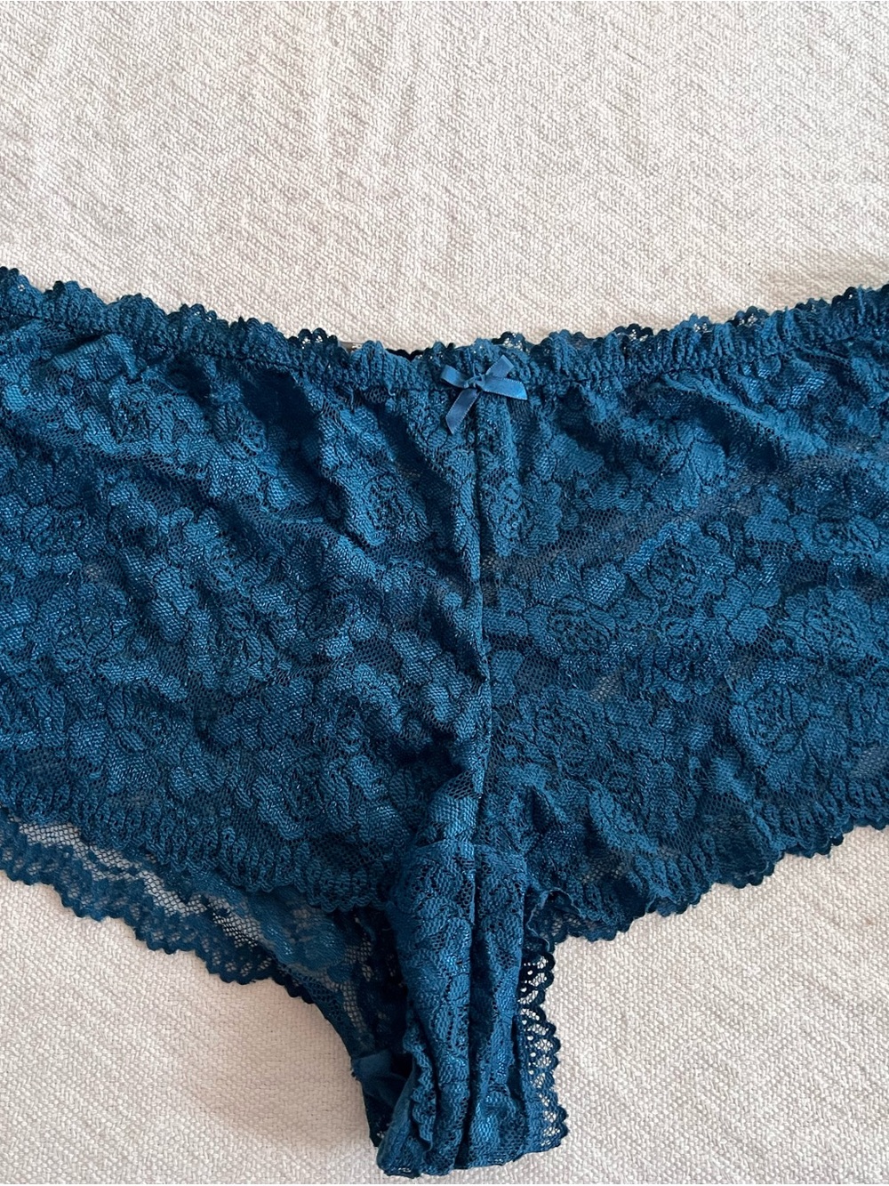 Lace Bikini Briefs in Teal - Women's Intimates Torrid